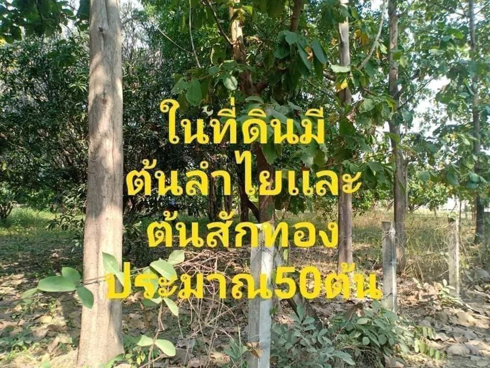 ขายที่ดิน ตาก 2-1-48 ไร่