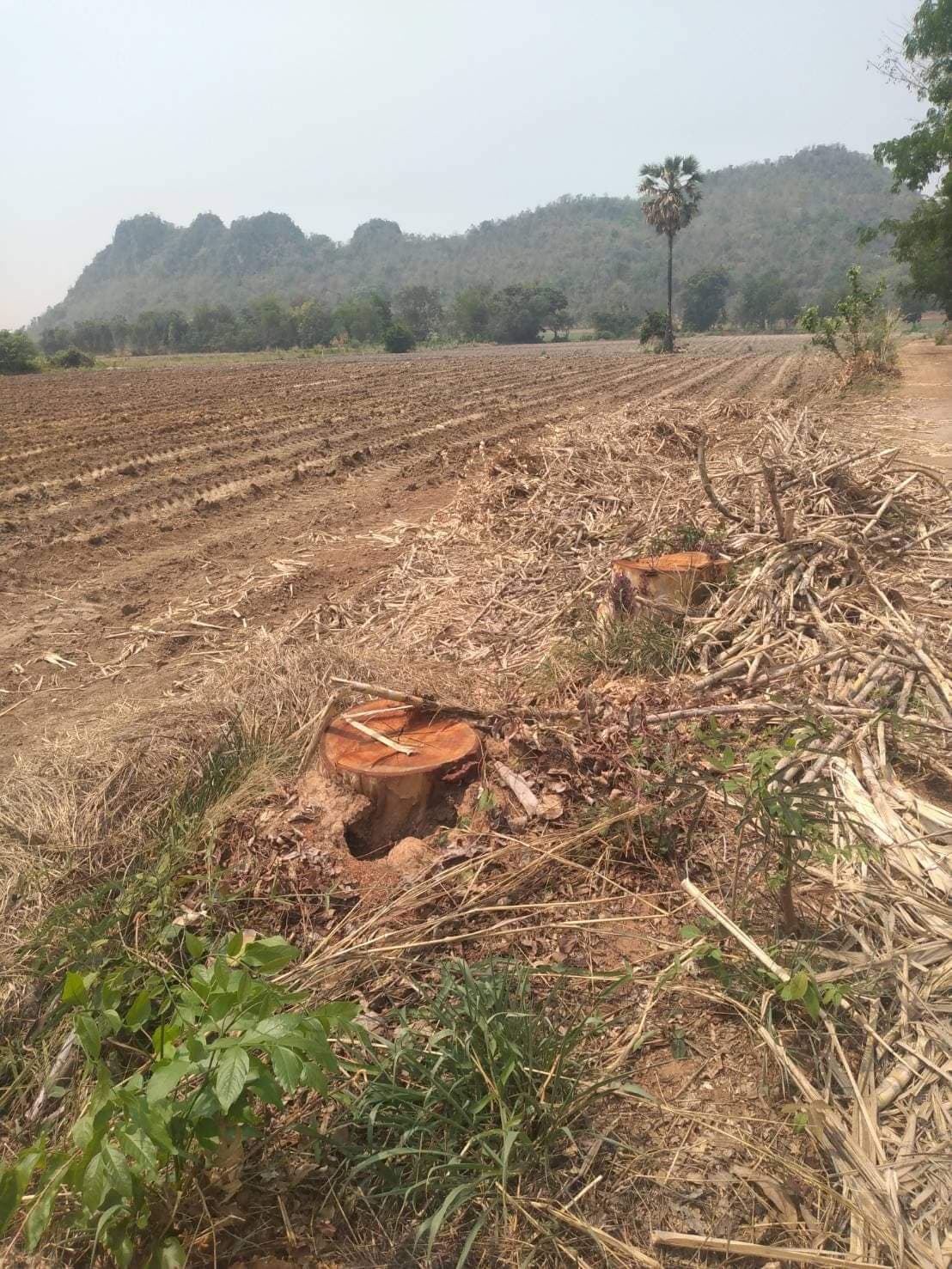 ขายที่ดินอุทัยธานี หนองฉาง 23-1-4
