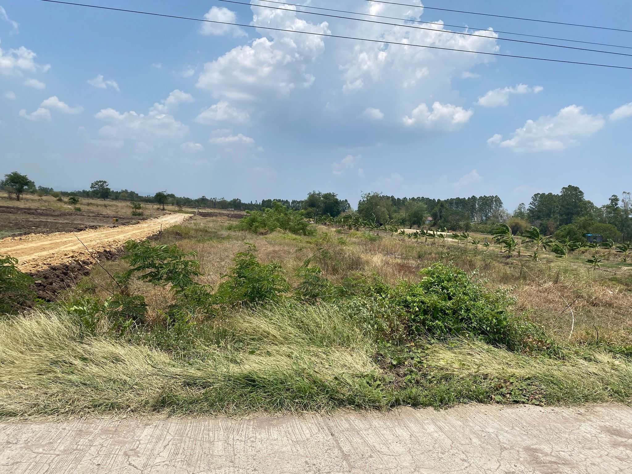 ขายทีดิน โคกสำโรง ติดถนนลาดยาง น้ำไฟพร้อม ห่างพหลโยธินเพียง 1.6 กม.