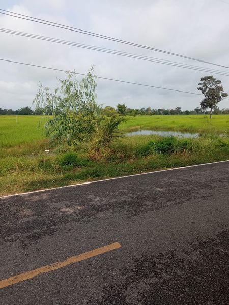 ขายที่ดิน ร้อยเอ็ด 2-2-80.7 ไร่