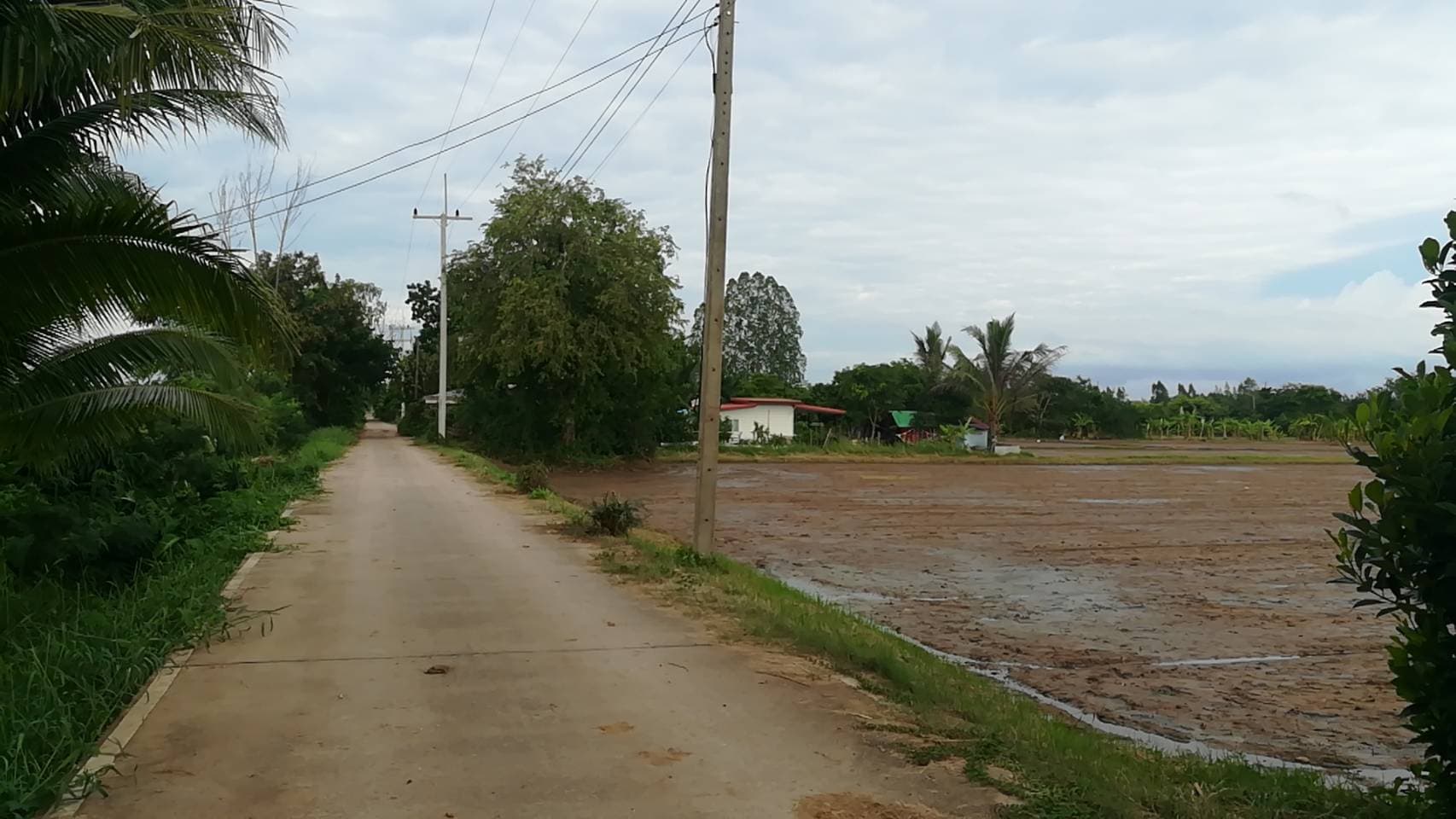 ที่ดินที่นา เมืองขอนแก่น 4-0-0