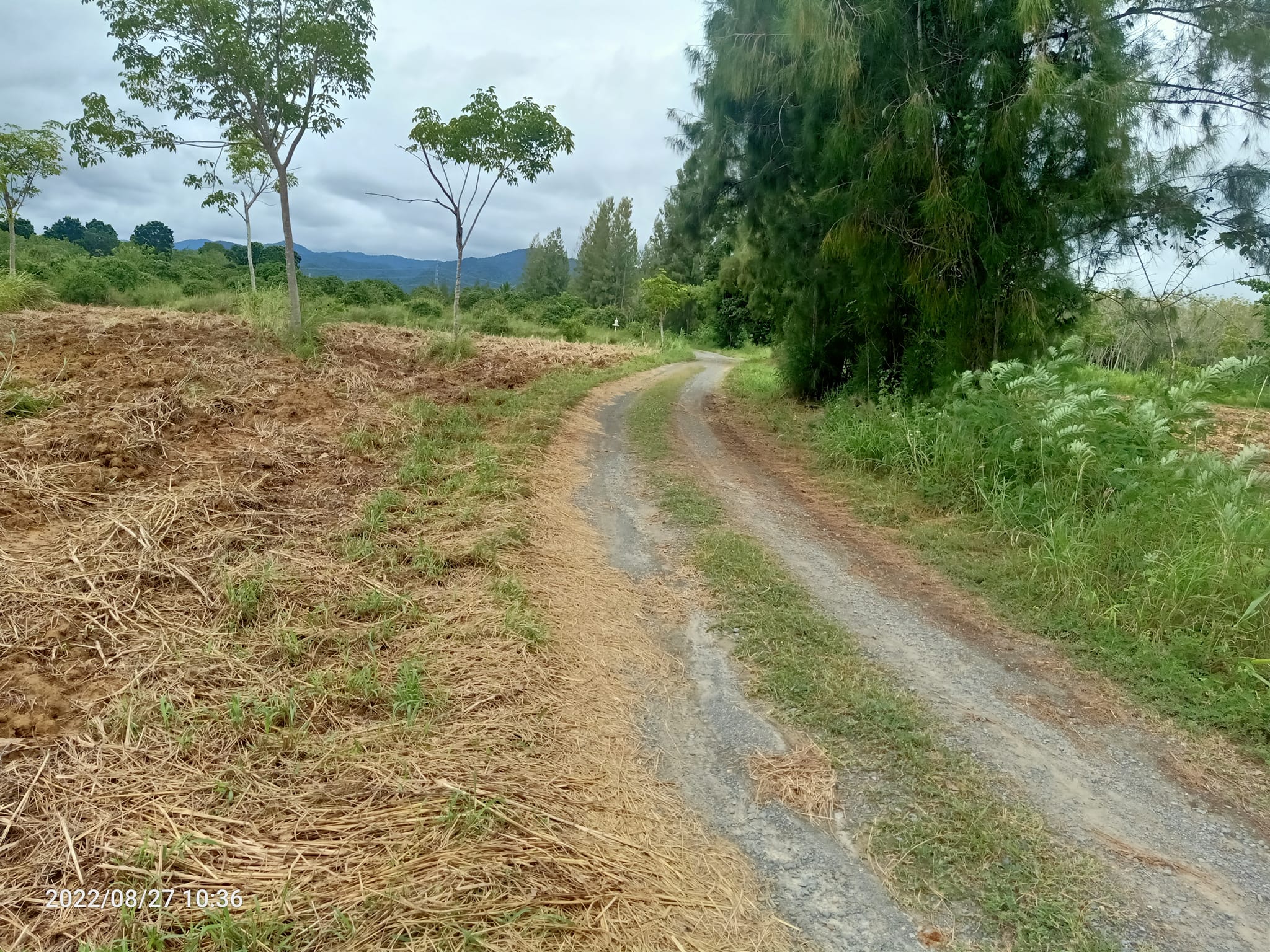 ขายที่ดินประจวบคีรีขันธ์ เมืองประจวบคีรีขันธ์ 33-2-19.4 ไร่