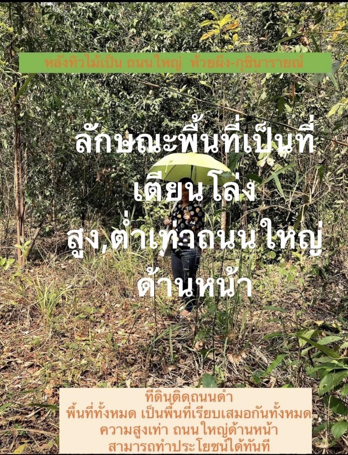 ขายที่ดินกาฬสินธุ์ ห้วยผึ้ง 5-3-44