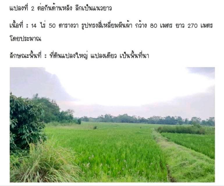 ขายที่ดินนครพนม ธาตุพนม 15ไร่