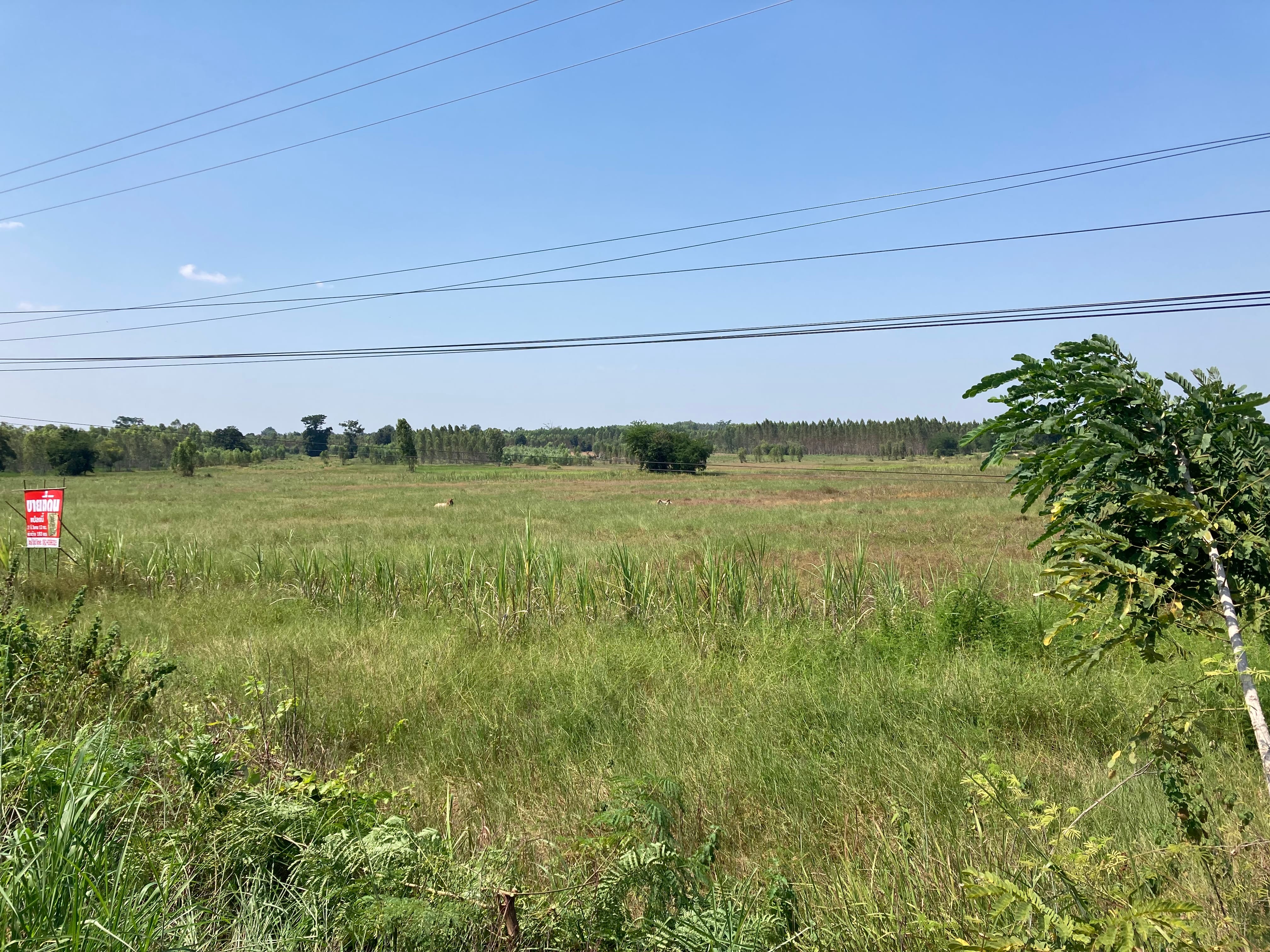 ขายที่ดิน
