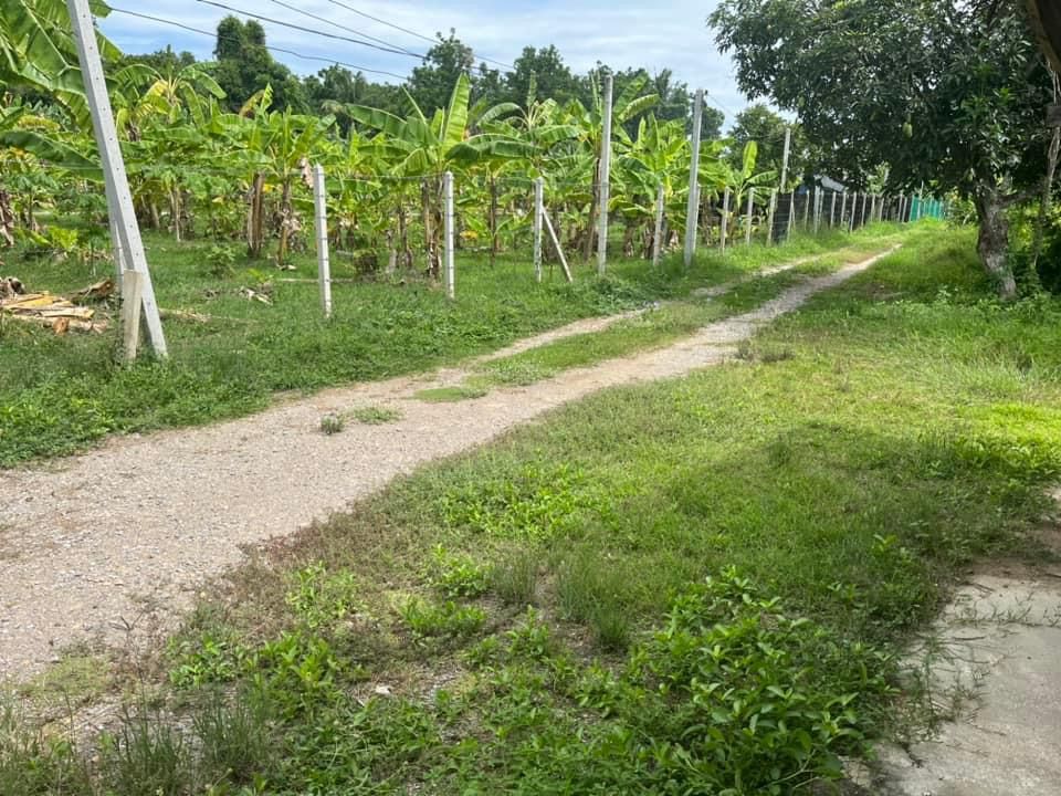 ขายที่ดิน