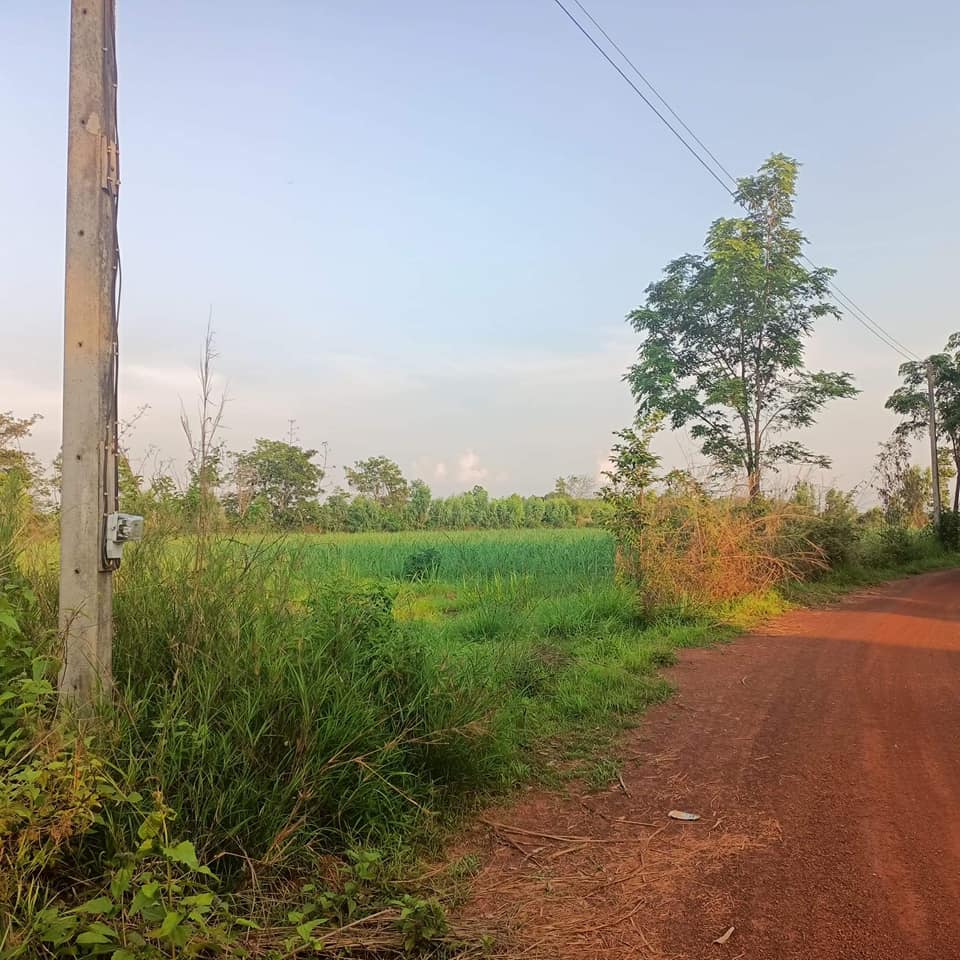 ที่ดิน บ้านใหม่ศรีสุวรรณ  อำเภอเพ็ญ จ. อุดรธานี  11-1-96