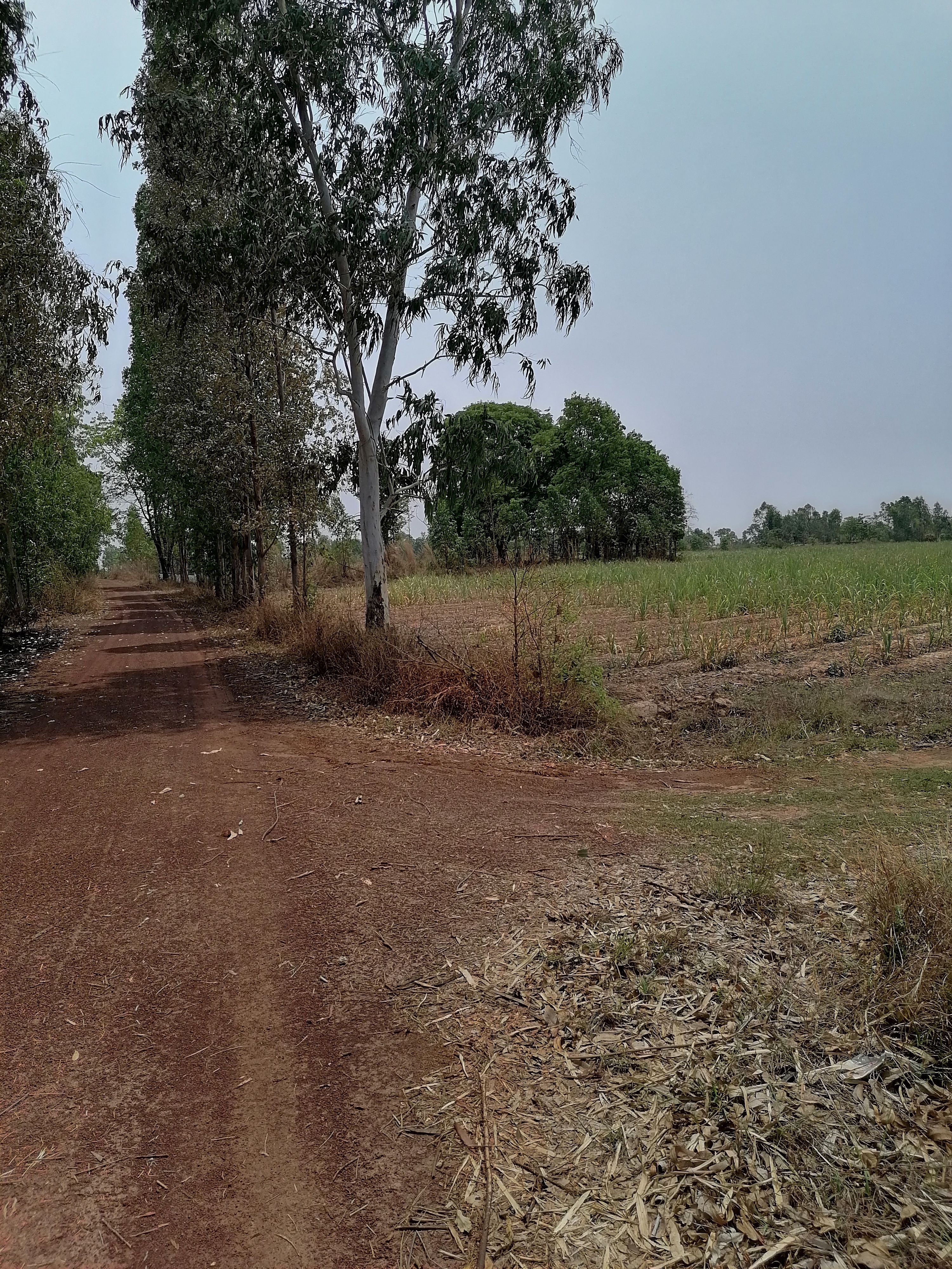 ขายที่ดินอุดรธานี