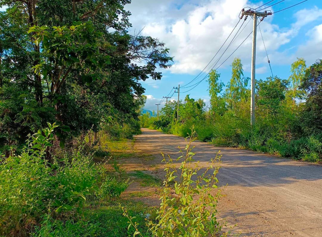 ที่ดินเปล่าแปลงใหญ่ บ้านตาก ตาก 383-0-20