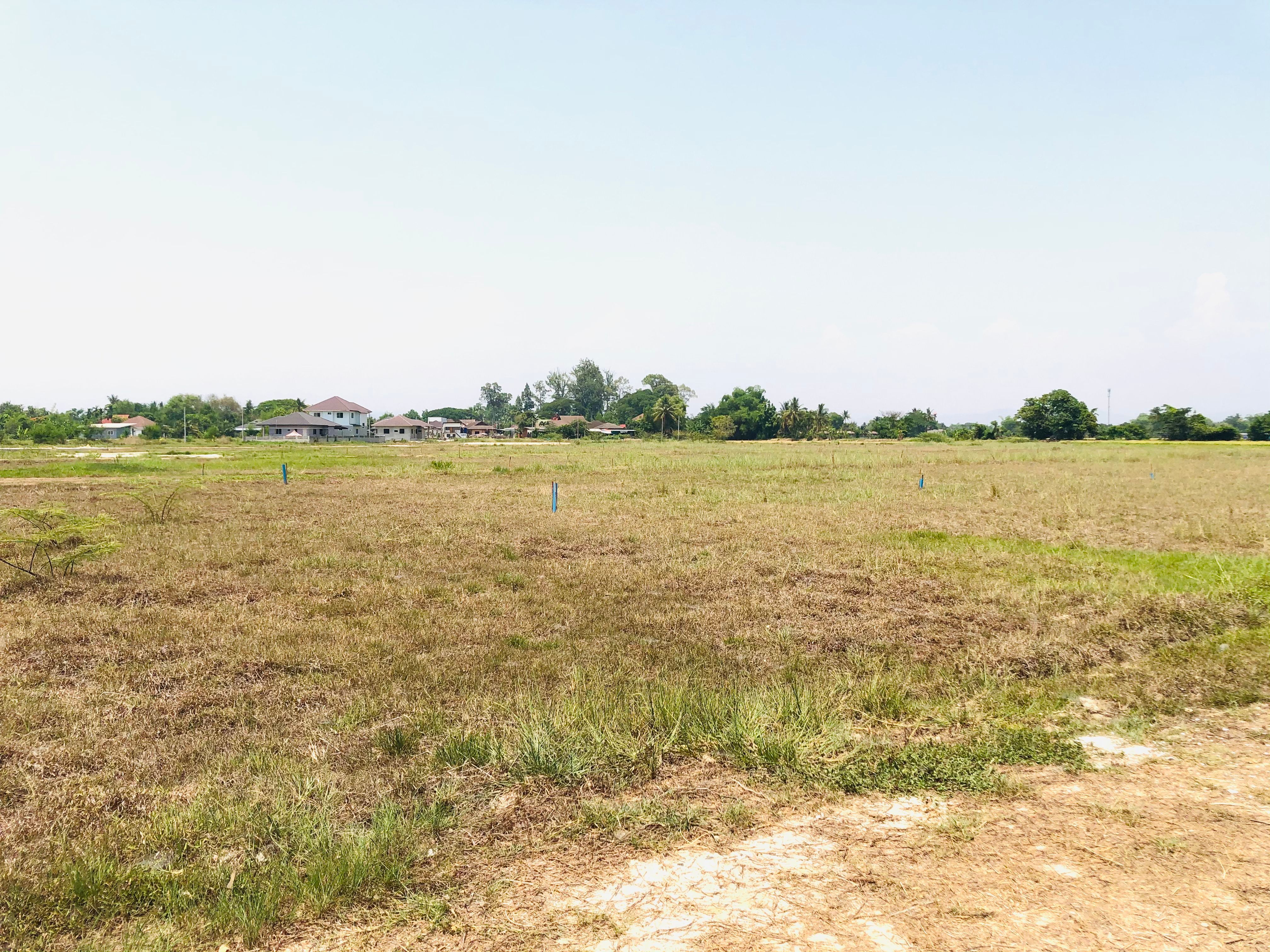 ที่ดินใกล้เมืองเชียงใหม่ (โซนท่ารั้ว) ต.สันปูเลย อ.ดอยสะเก็ด ห่างเซ็นทรัลเฟสติวัลเชียงใหม่เพียง7กิโล