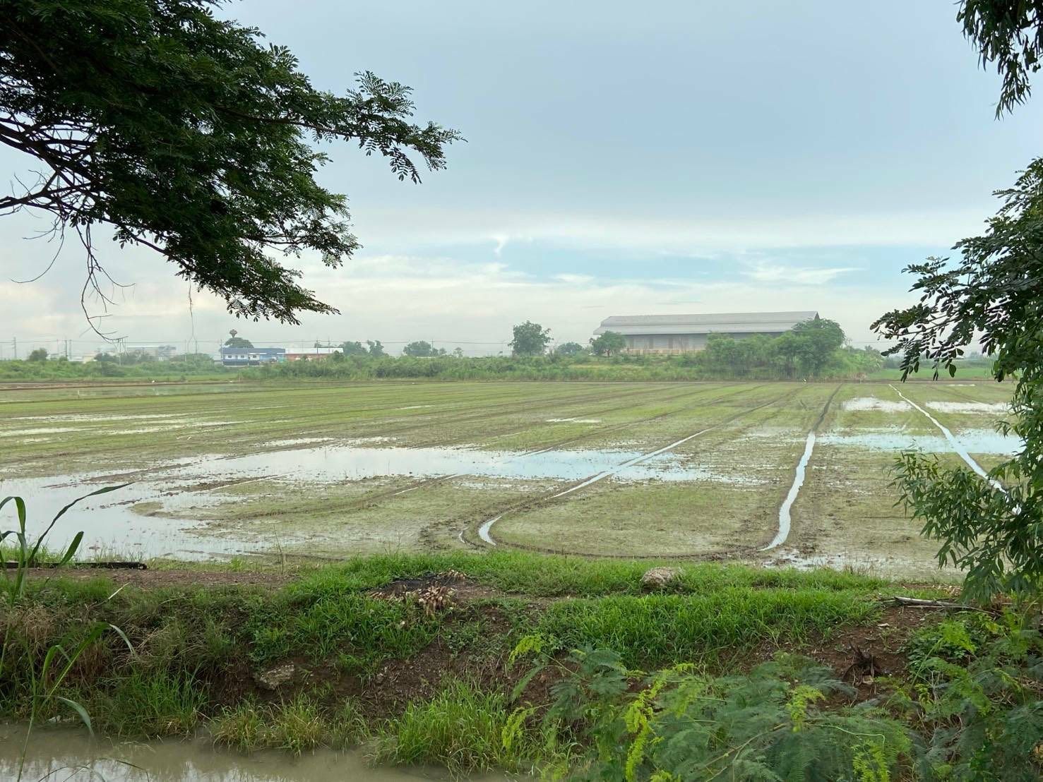 ขายที่ดินเปล่า อำเภอนครหลวง จังหวัดพระนครศรีอยุธยา 6,052 ตารางวา