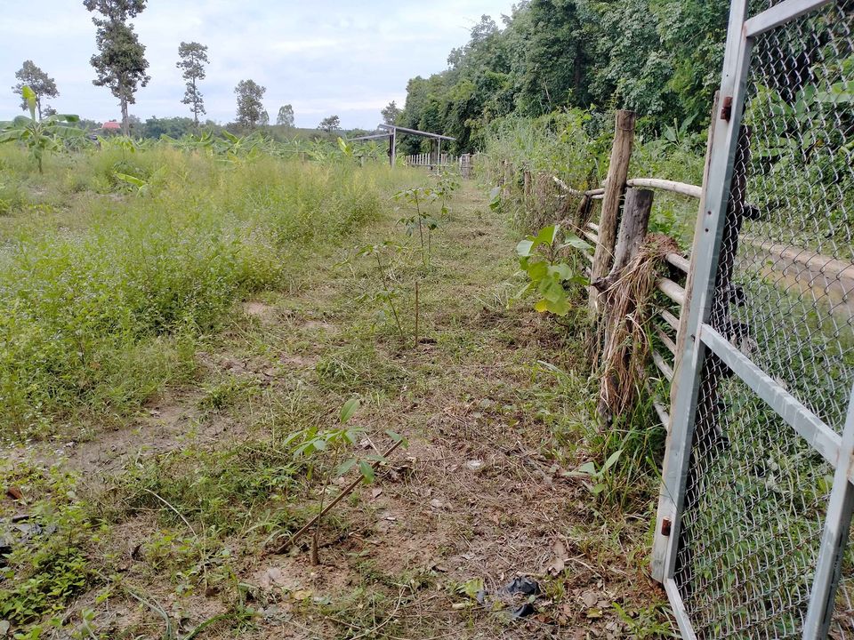 ที่ดินเปล่าราคาถูก มุกดาหาร 10 ไร่