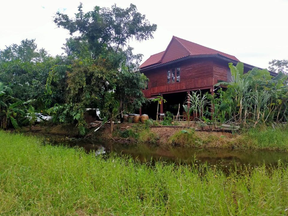 บ้านทรงไทย สวย ขอนแก่น พื้นที่ 1 ไร่