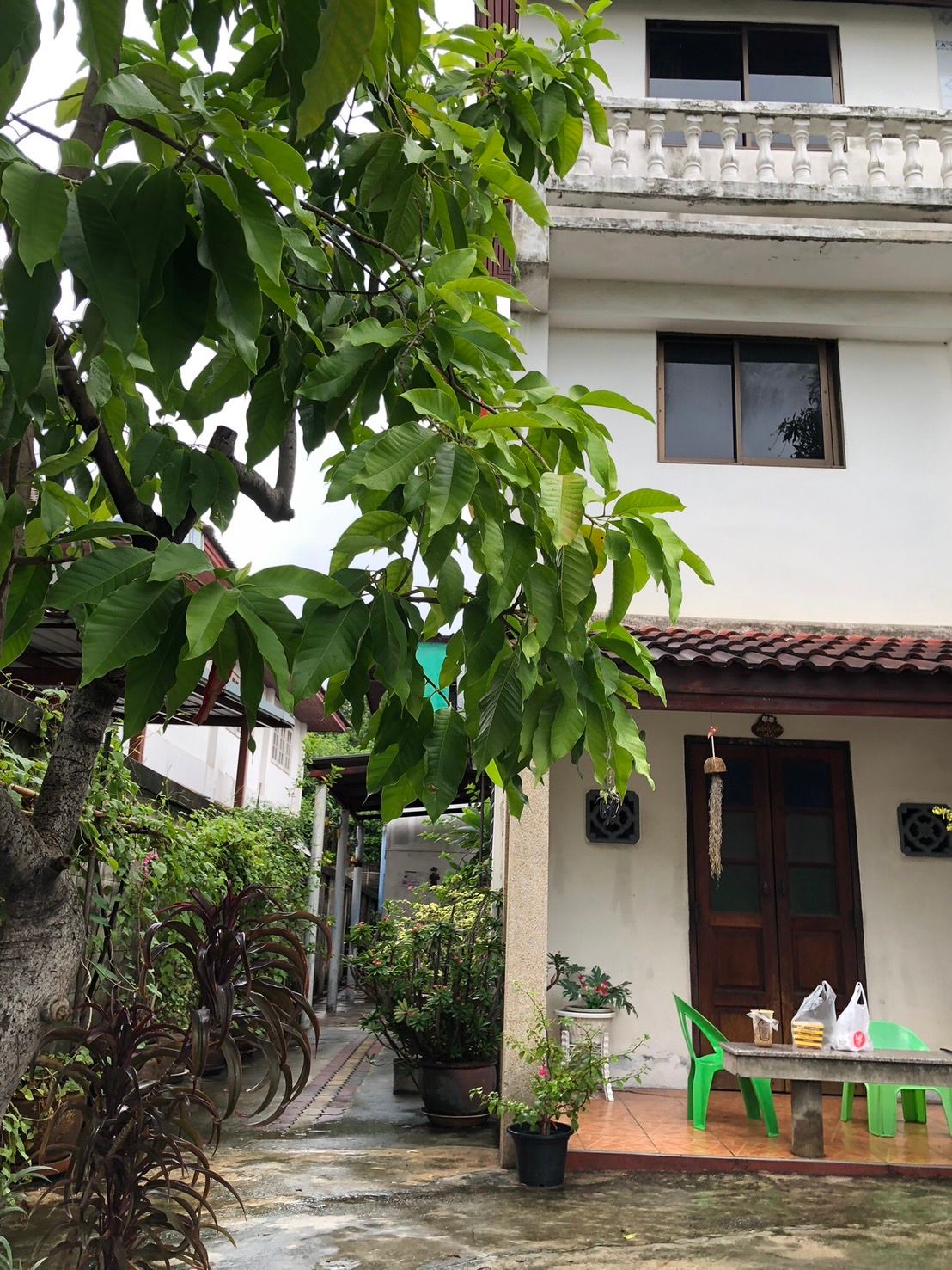 ขายบ้านกรุงเทพฯ เขตบางซื่อ บ้านทรงสวย ทำเลดี เดินทางง่าย แหล่งอำนวยความสะดวกรอบด้าน 0-0-93