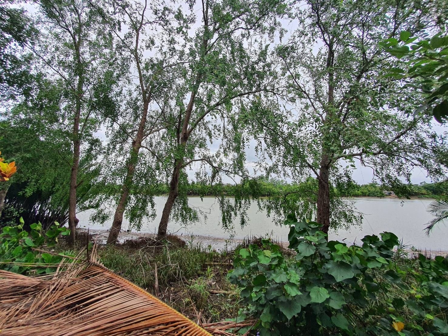ขายที่ดินริมน้ำแปลงสวย 3-1-71 ไร่ ติดคลองใหญ่ วิวพระอาทิตย์