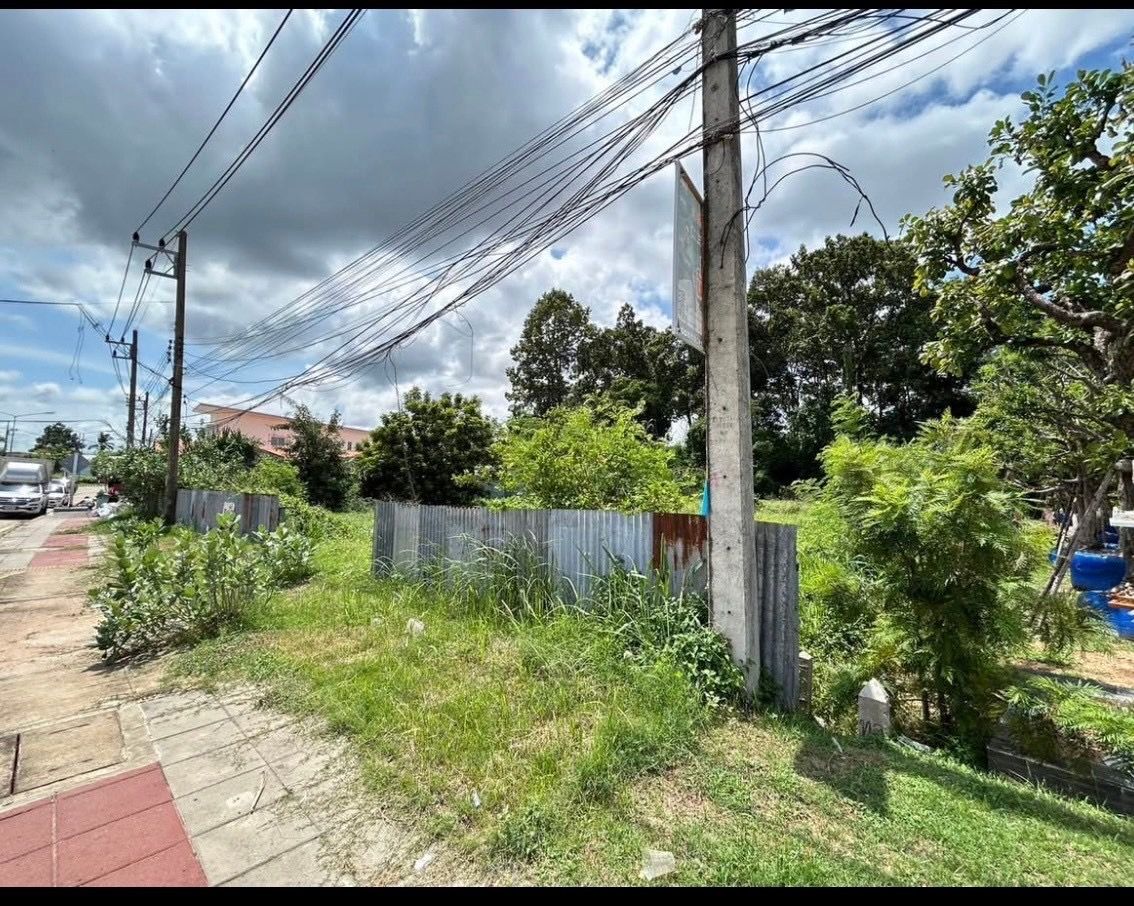 ขายที่ดินเมืองอุบล ที่ดินเปล่า ใกล้ชุมชน