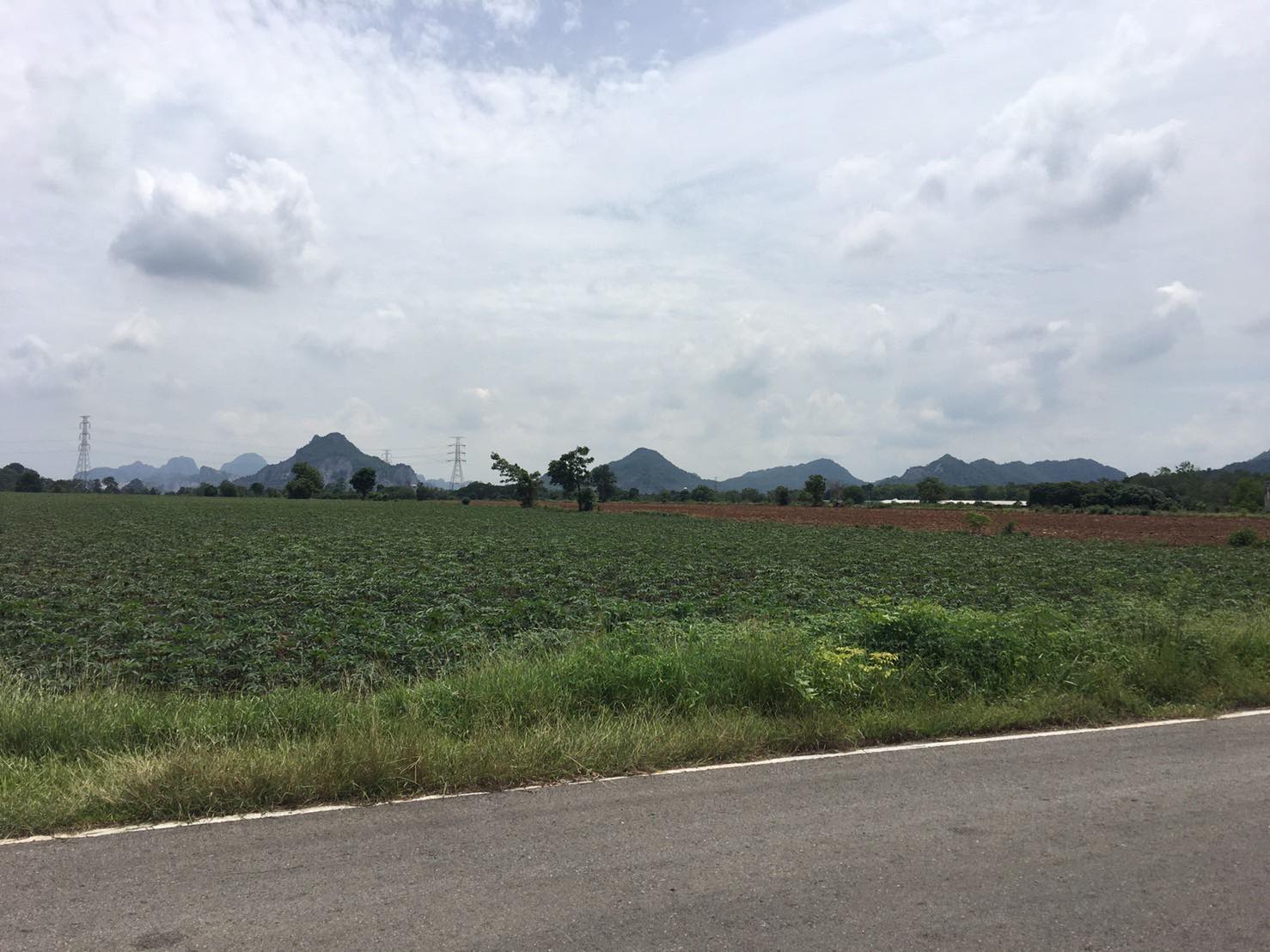 ที่ดินเปล่า ติดถนนสาธารณะ อ.เฉลิมพระเกียรติ จ.สระบุรี 23-3-7 ไร่