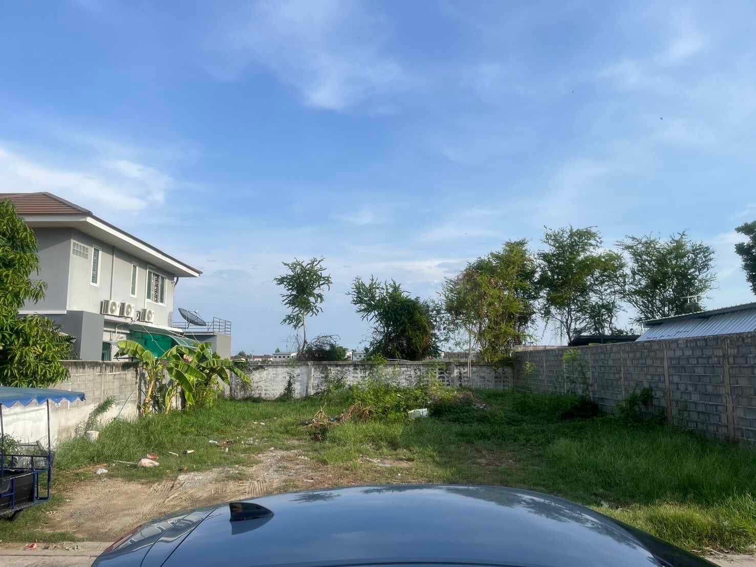 ขายที่ดินบางบ่อ สมทรปราการ 85 ตร.ว. ใกล้ รง.Toyota ด่วน