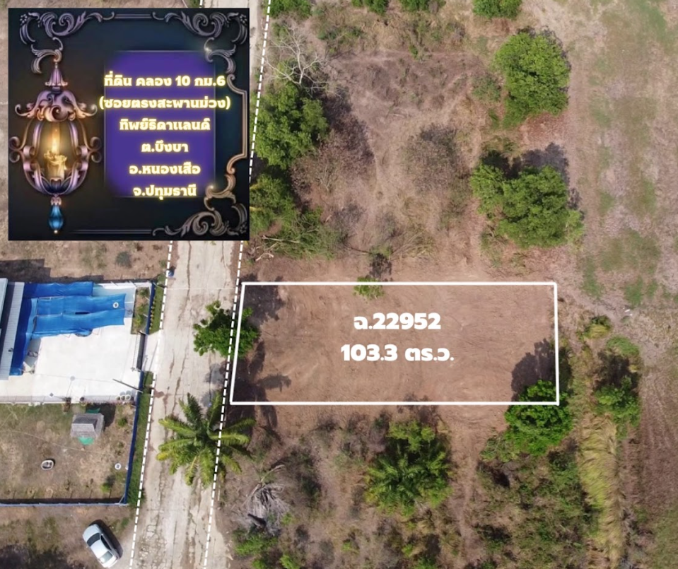 ขายที่ดินปทุมธานี หนองเสือ ตรงสะพานม่วงทิพย์ธิดาแลนด์ 
