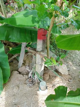 ที่ติดเปล่าติดถนน คอนกรีต ระยอง 18-2-44.5