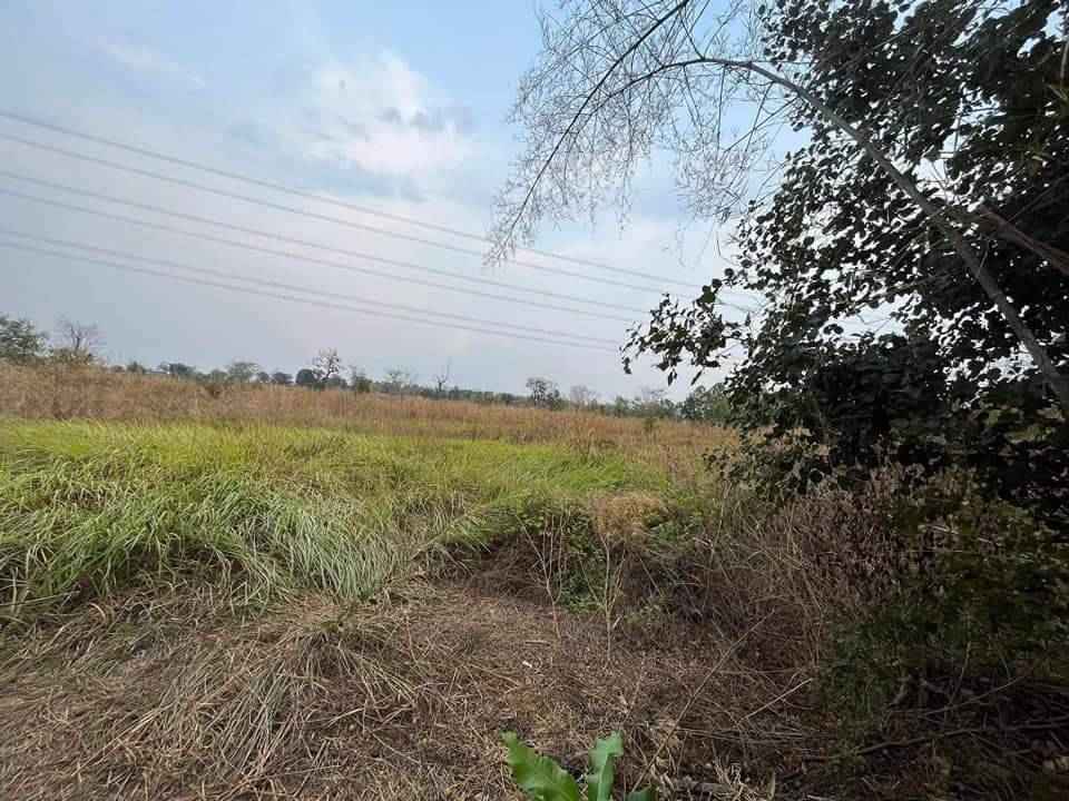 ที่ดินสวย บรรยากาศดี หนองนาคำ ขอนแก่น 23-3-68