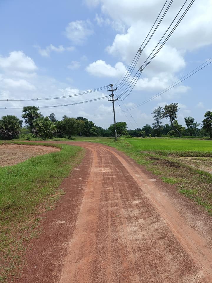 ขายที่ดินอุบลราชธานี อ.เดชอุดม 1-1-50