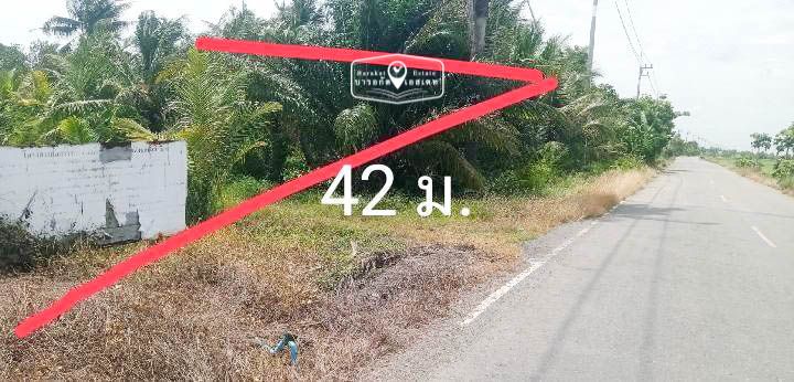 คลอง14ฝั่งตะวันออก ด้านหน้าติดถนนกว้าง 42 เมตร ด้านหลังติดคลอง