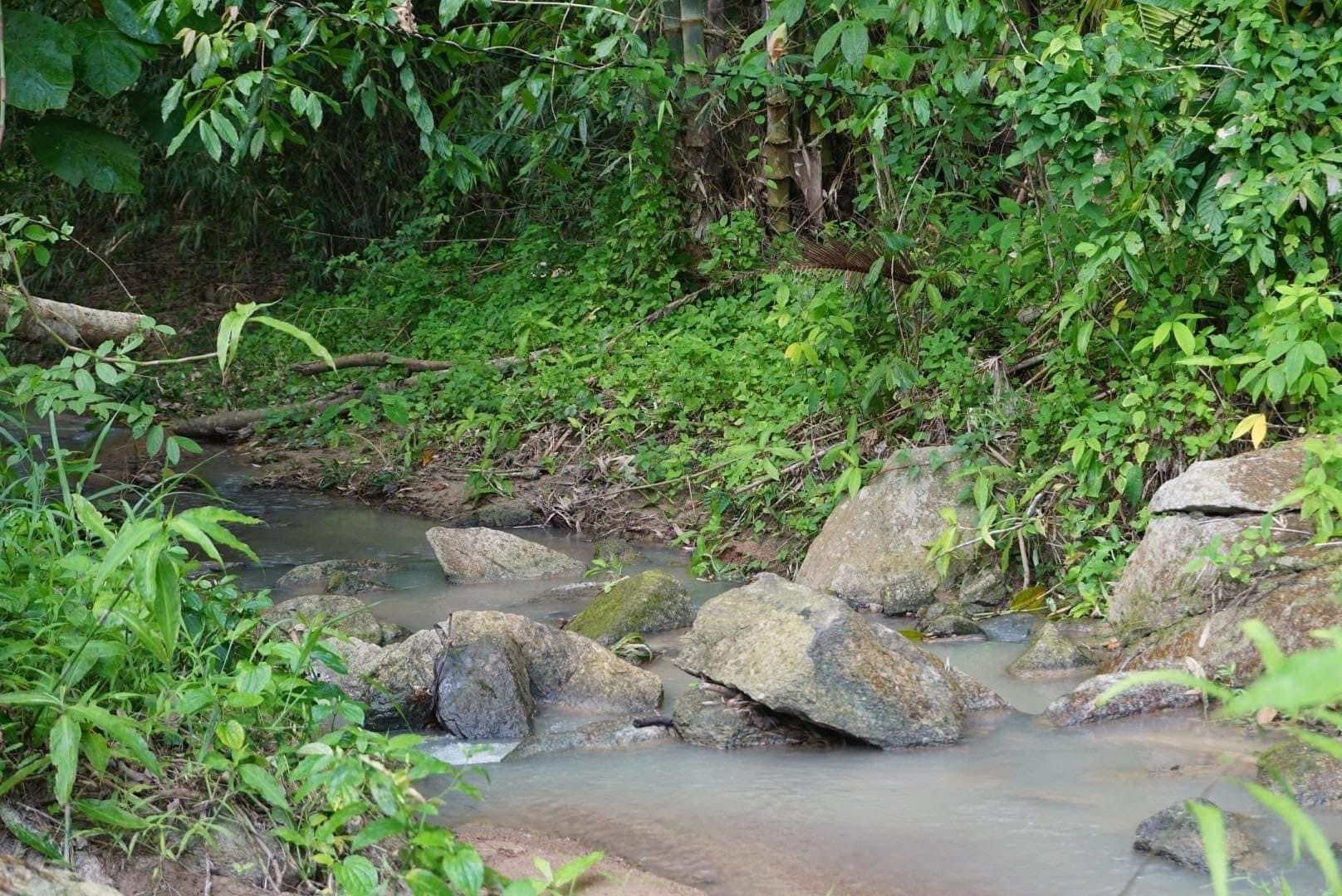 ขายที่ดินสวยทำเลดีวิวภูเขาติดลำธาร บ้านค่าย ระยอง 1-3-40 ไร่