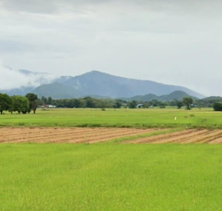 ขายที่นาราคาถูก อุตรดิตถ์ 6-3-83