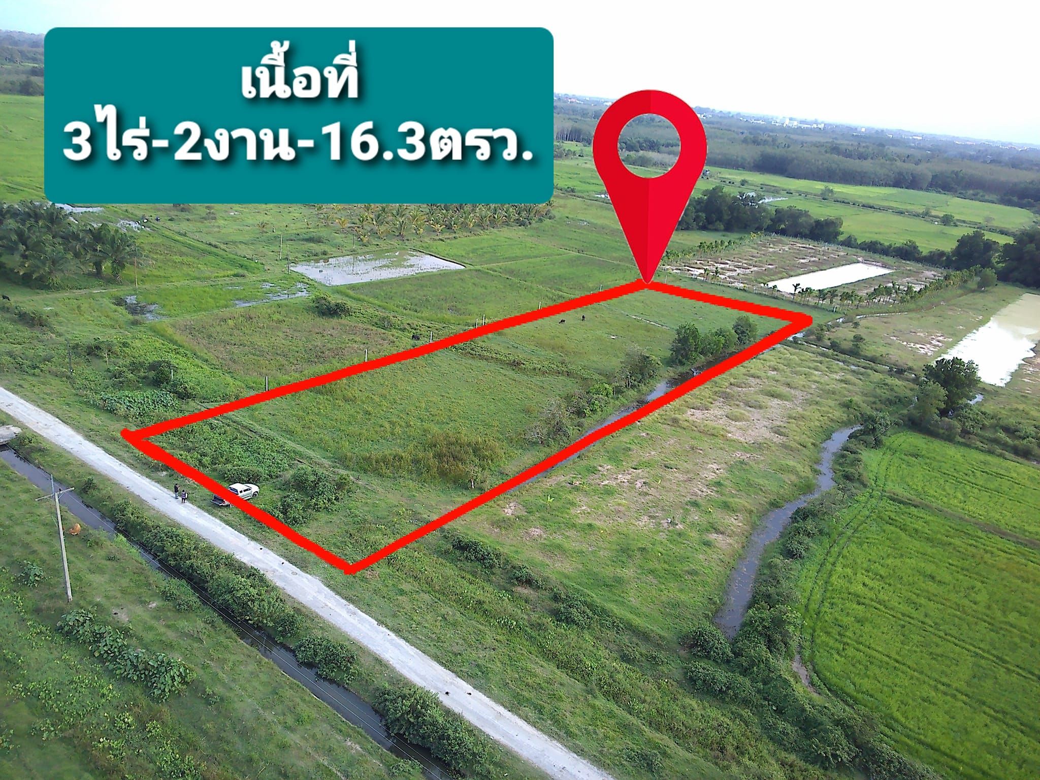 ขายที่ดินนครศรีธรรมราช ที่นา ปรับสภาพเพื่อลงทุนได้ แปลงสวย ท่าศาลา นครศรีฯ 3-2-16