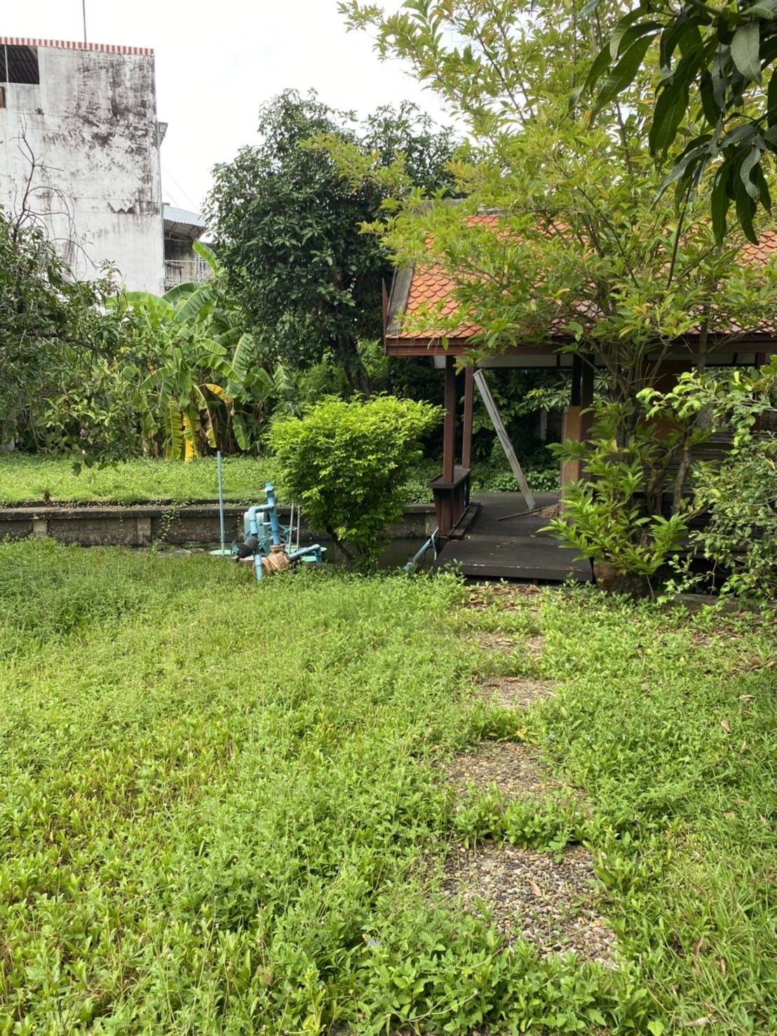 ที่ดินพร้อมสิ่งปลูกสร้าง เขตพระโขนง 2-2-25