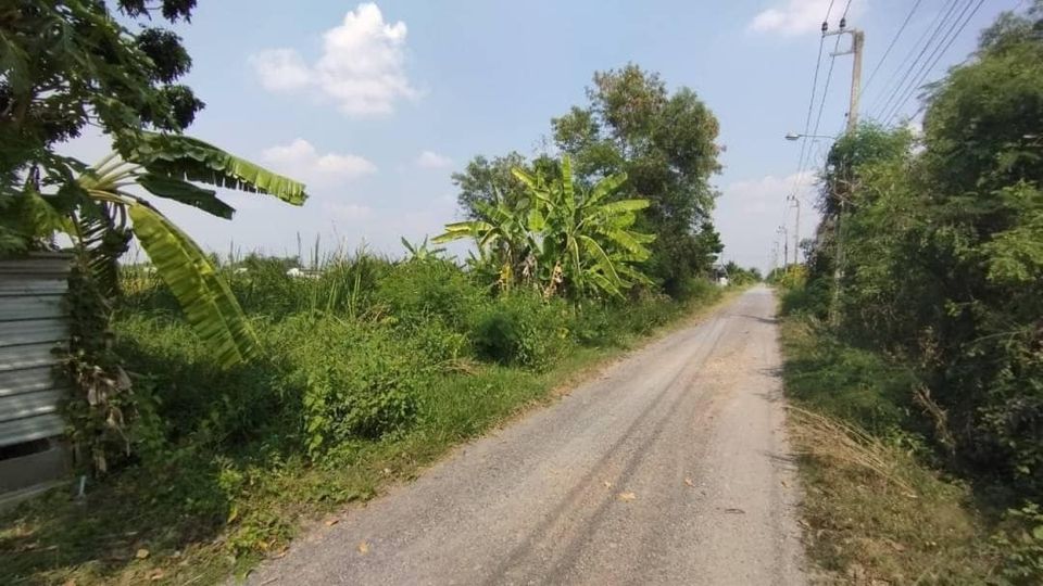 ขายที่ดินสวย ถนนคลอง 9 เขตหนองจอก  กทม.