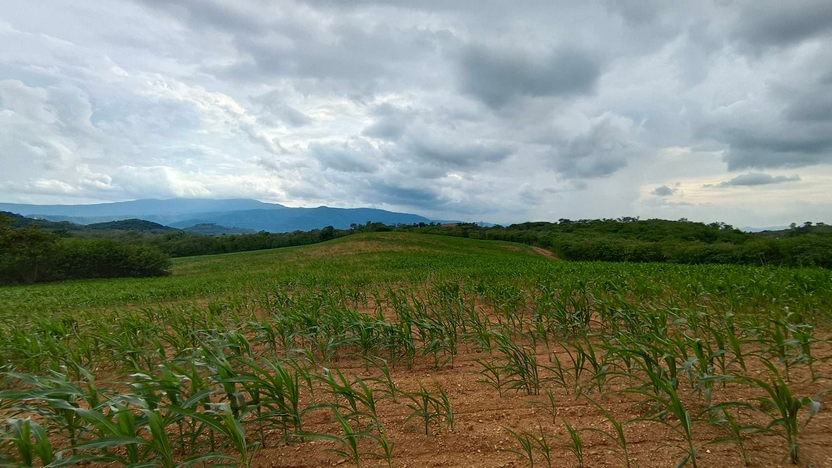 ที่ดินเขาใหญ่ แปลงสวยวิวเขา 64 ไร่ บนเนิน สูง 469 m.