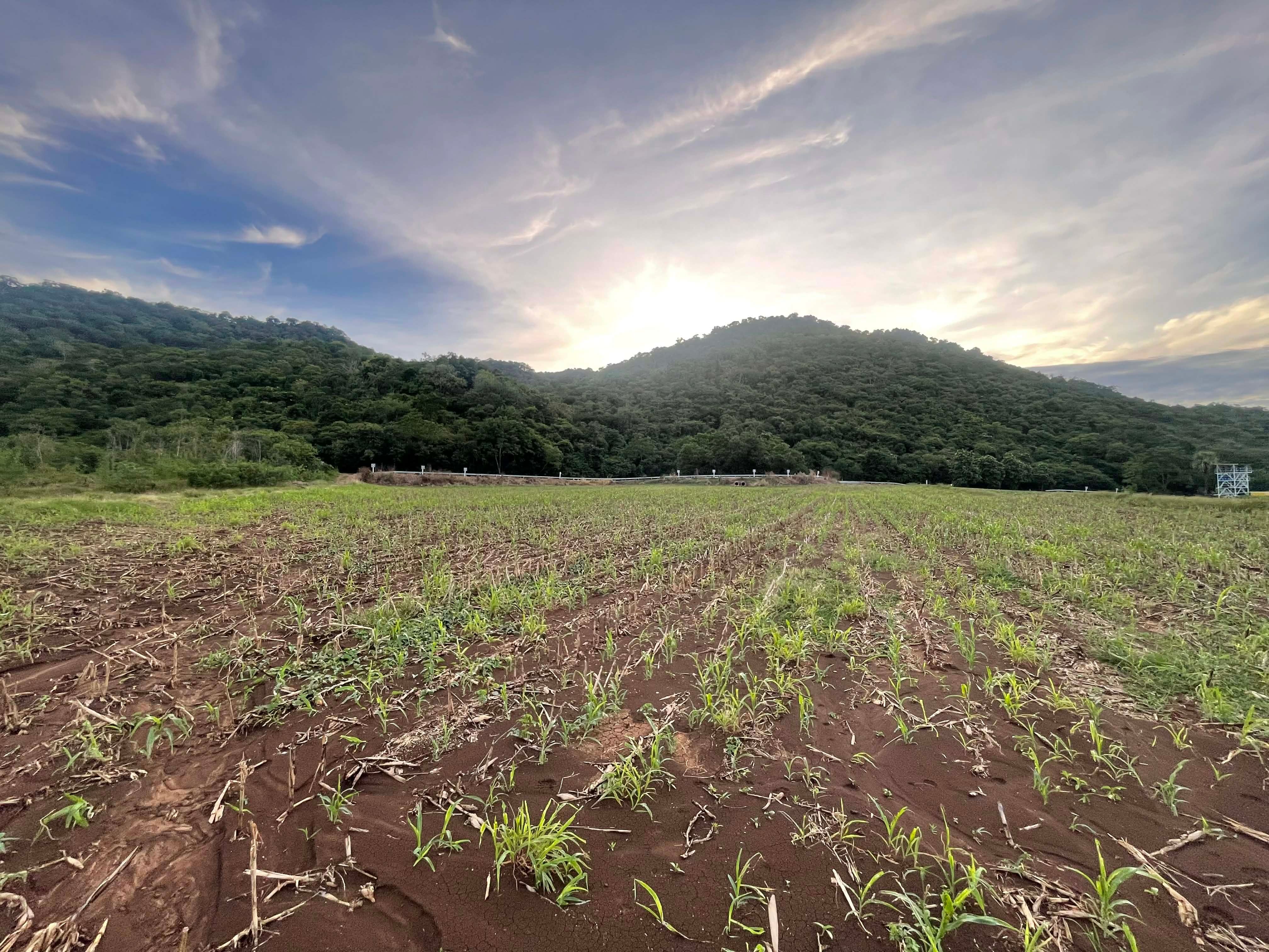 ขายที่ดินลพบุรี พัฒนานิคม ติดเขาวิวสวย