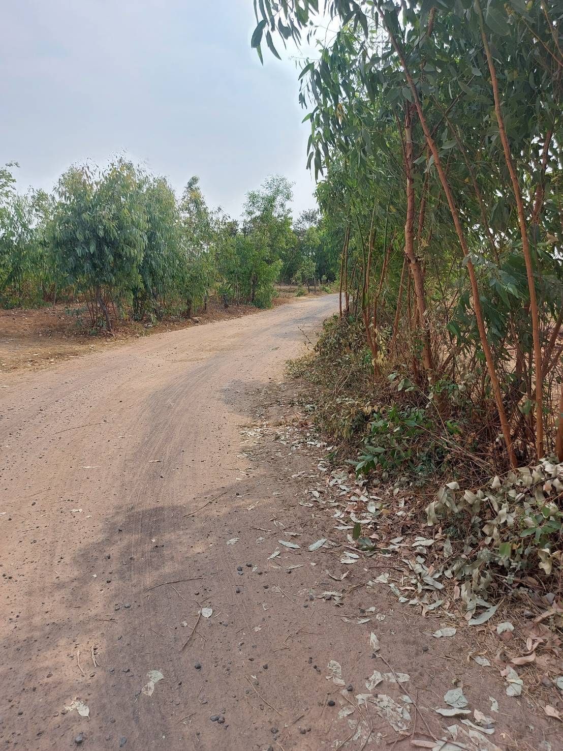 ขายที่ดิน