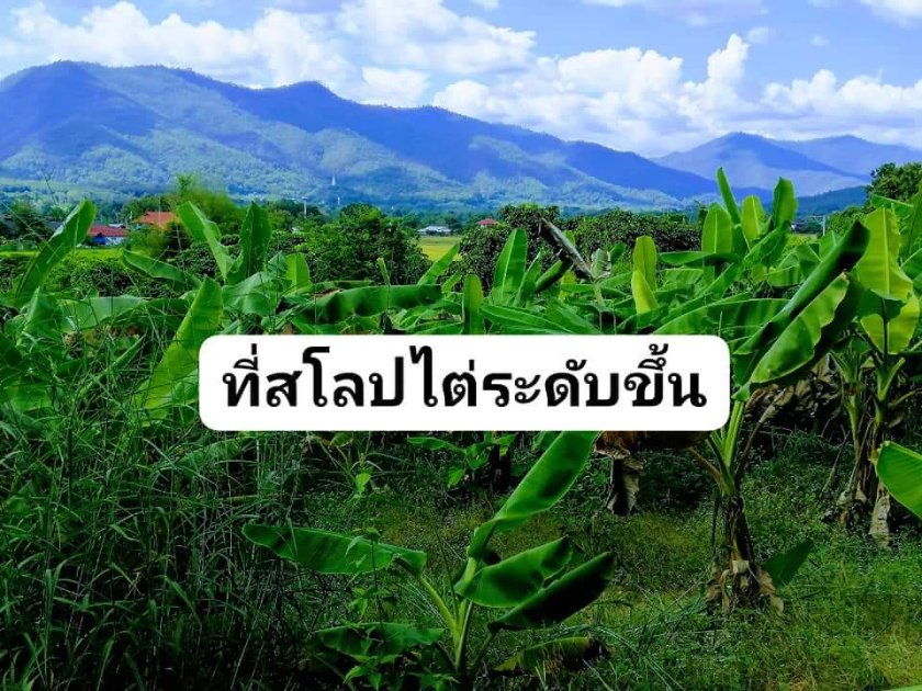 ที่ดินแบ่งขาย 1 ไร่ขึ้นไป ไร่ละ 290000 พร้าว เชียงใหม่