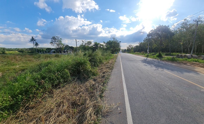 ขายที่ดิน ระยอง 24-1-72.8 ไร่