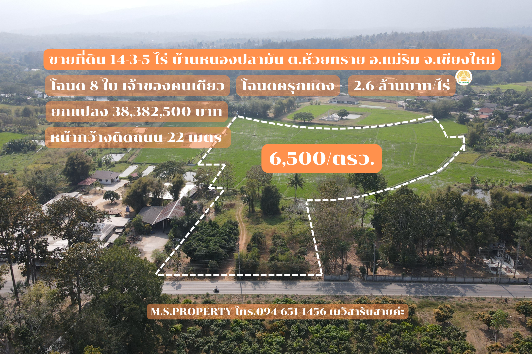 ขายที่ดินแปลงใหญ่โฉนดครุฑแดง ตรว, 6,500 บาท บ้านหนองปลามัน ต.ห้วยทราย อ.แม่ริม จ.เชียงใหม่ (เจ้าของคนเดียว)