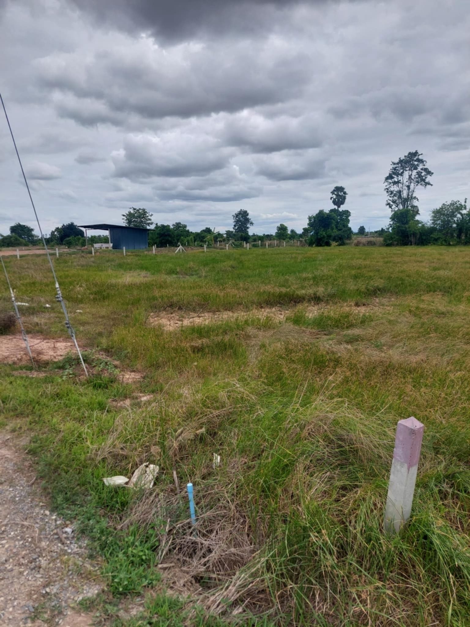ขายที่ดินเปล่ายกแปลง1ไร่1งานน้ำไฟพร้อมถนนหน้าที่เข้าออกได้หลายทาง