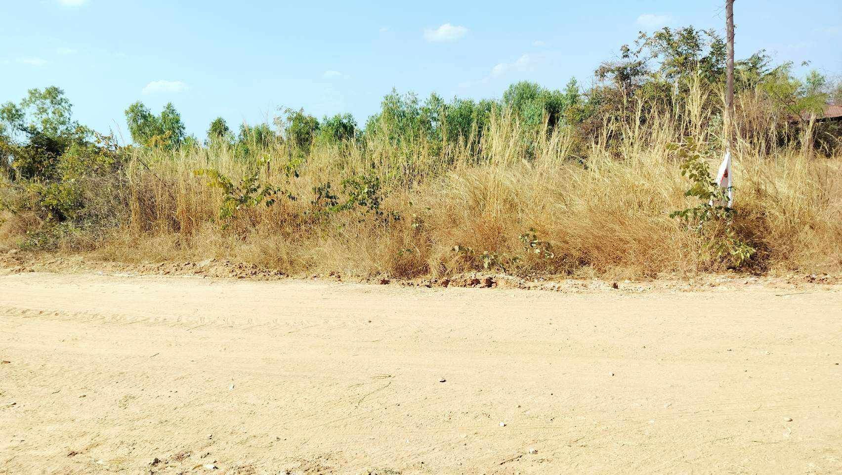 ขายที่ดินชัยภูมิ ที่ดินเปล่า ติดถนนสาธารณะ บ้านเขว้า ชัยภูมิ