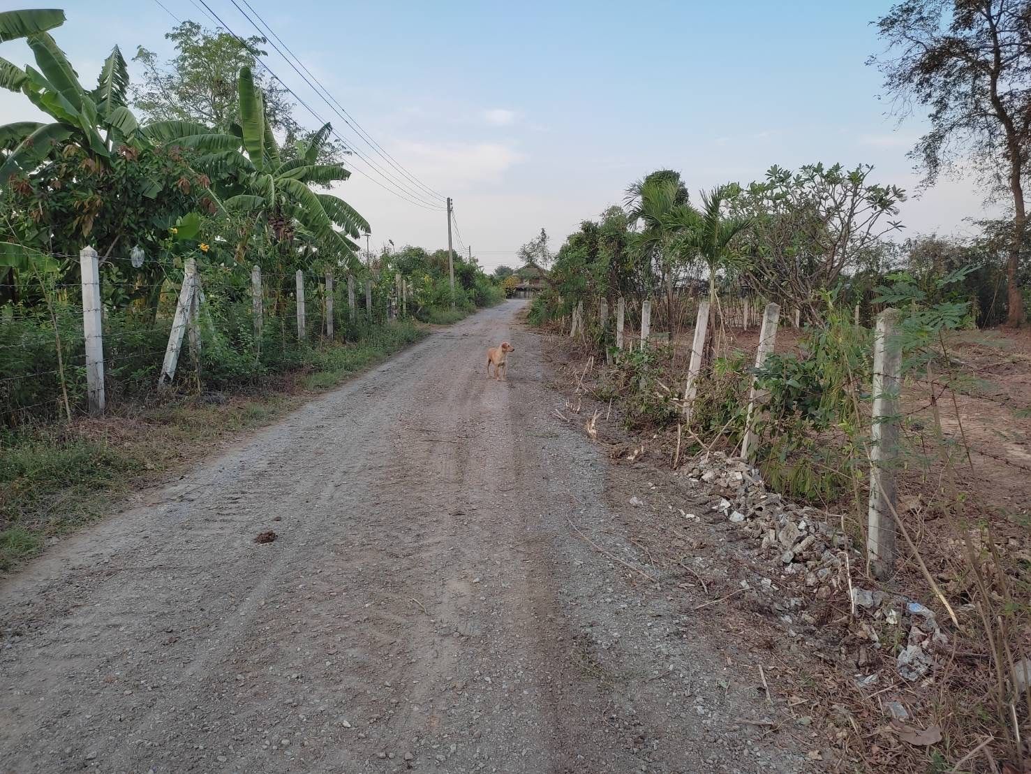 ขายที่ดินดอนเจดีย์จังหวัดสุพรรณ