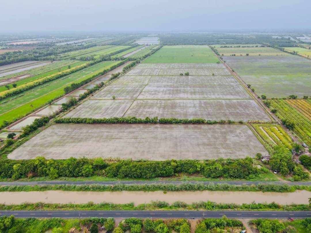 ขายที่ดินสระบุรี แปลงใหญ่ ติดถนนสาธารณะ น่าลงทุนมาก 