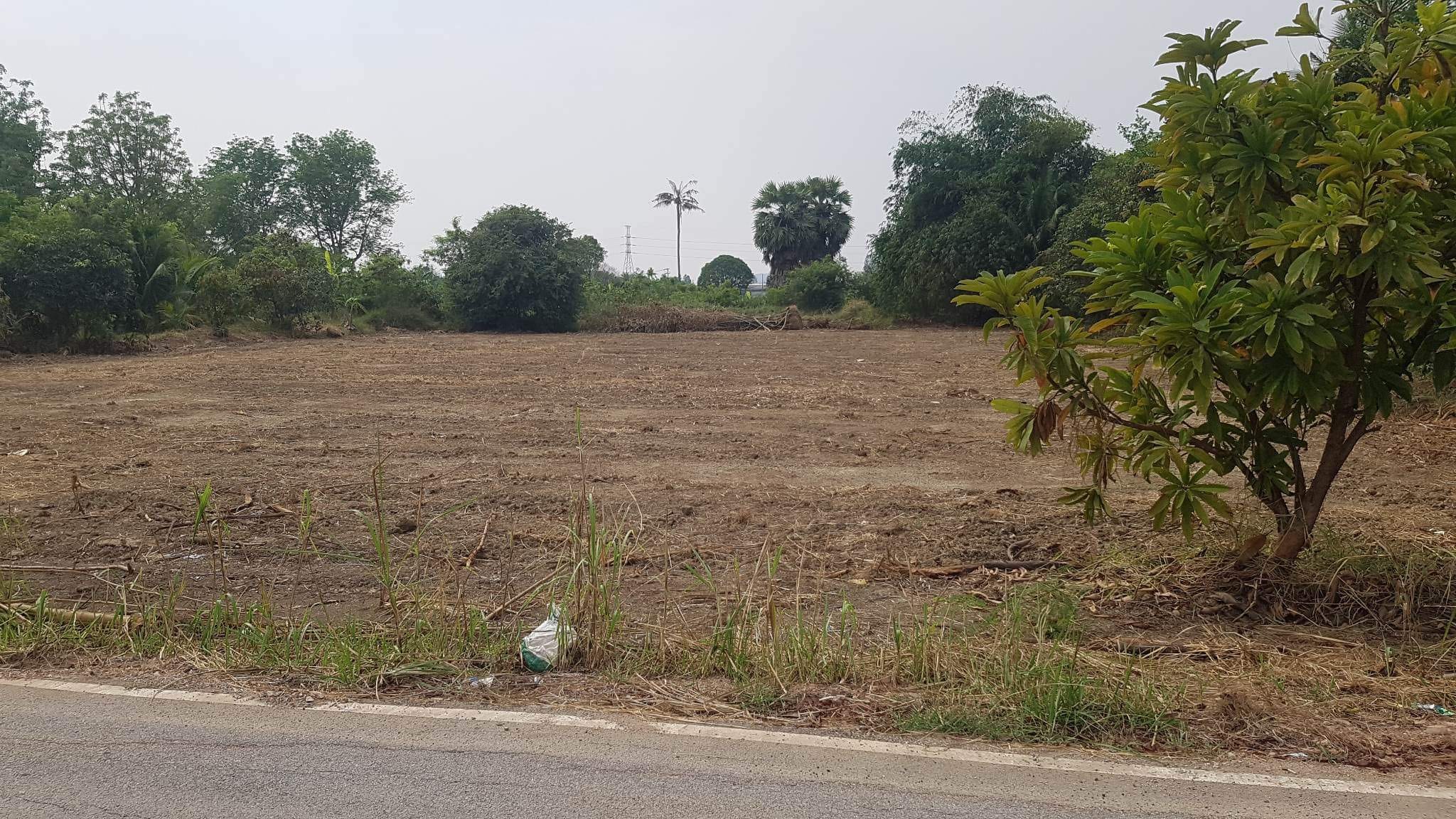 ขายที่ดิน 2 ไร่ ติดถนนและคลองใหญ่ เมืองราชบุรี