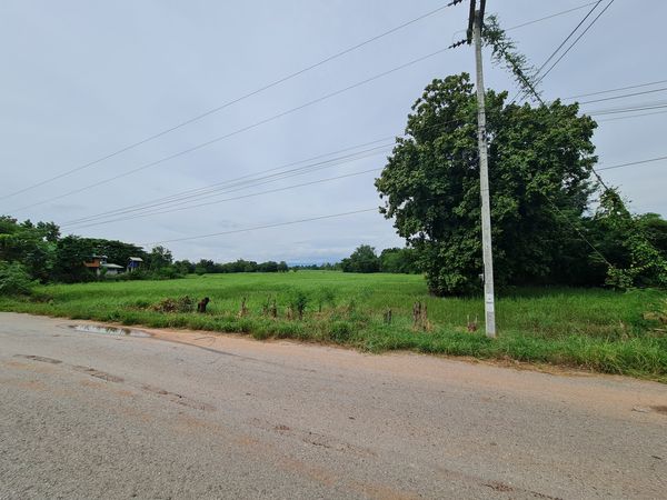ที่ดินบ้านหนองโสมง เมืองชัยภูมิ ติดถนนลาดยาง 6-3-16