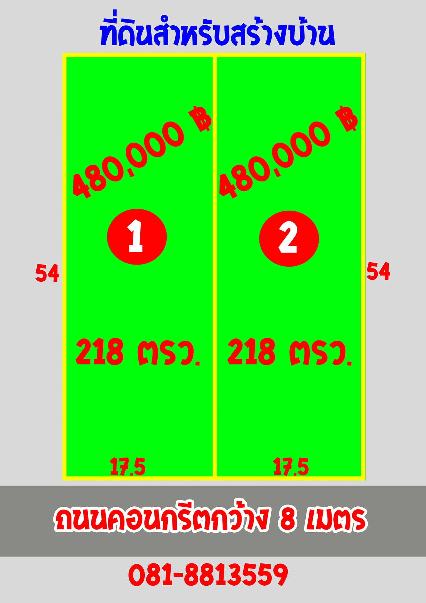ที่ดินลำพูนแบ่งขายสำหรับสร้างบ้าน 218 ตรว.