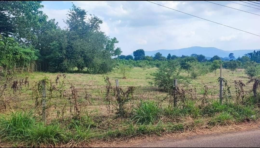 ขาย ที่ดิน 3 ไร่ บ้านท่าช้าง ต.หมูสี อ.ปากช่อง จ.นครราชสีมา