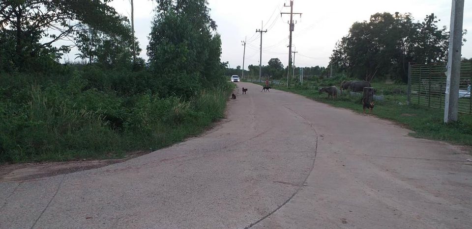 ที่ดินจังหวัดอุดรธานี 5-1-48.1 อ.เมืองอุดรธานี