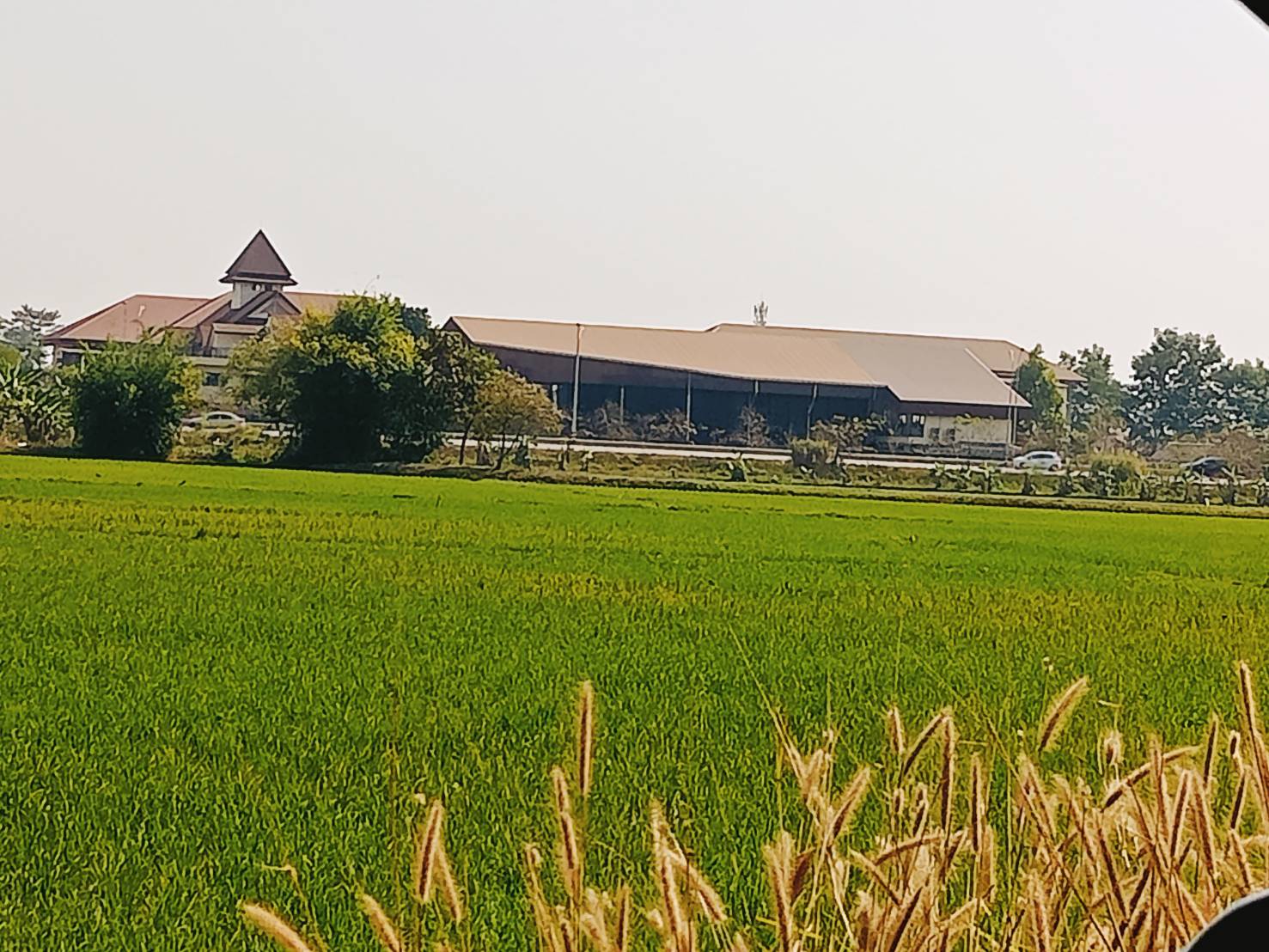ขายที่ดินเชียงราย 17-3-2.5