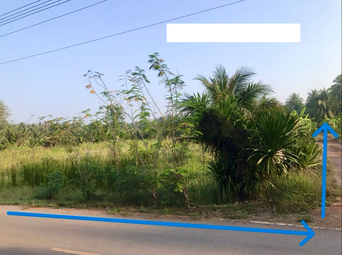 ขายที่ดินแปลงสวย ติดถนนบางแค ซอย 10 อ.อัมพวา จ.สมุทรสงคราม (25.3.2568)