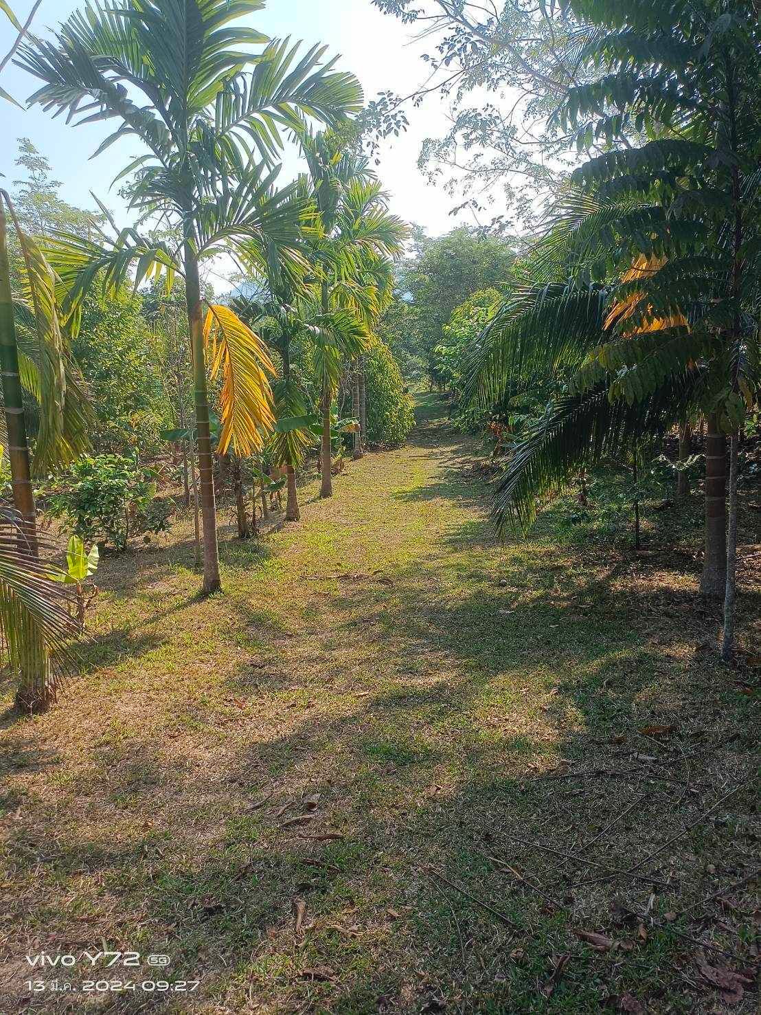 ที่ดินตะกั่วทุ่ง โครงการสนามบินอันดามัน